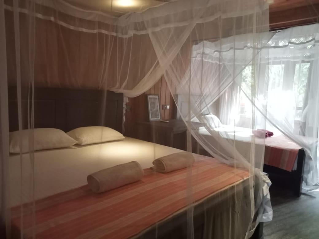 Piumi House Konuk evi Dikwella Dış mekan fotoğraf