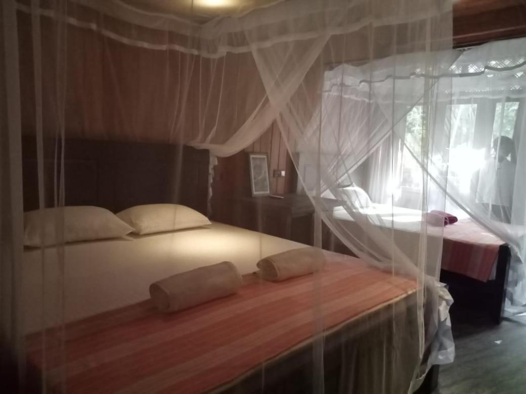 Piumi House Konuk evi Dikwella Dış mekan fotoğraf